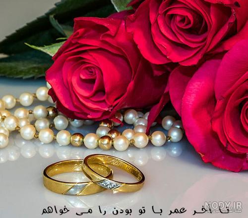 عکس گل عشق - عکس نودی
