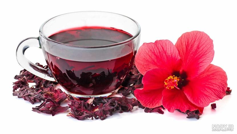 بذر چای ترش قرمز -رزچینی (Hibiscus sabdariffa)-گلس گاردن (19 ...