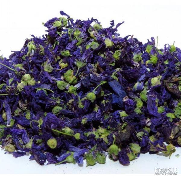 خرید و قیمت گیاه خشک شده پنیرک از غرفه محصولات گیاهان دارویی گل ... خرید و قیمت گیاه خشک شده پنیرک از غرفه محصولات گیاهان دارویی گل ...