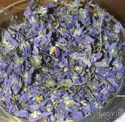 خواص گل پنیرک چیست؟ ☕ طبع دمنوش گل پنیرک برای چی خوبه؟ خواص گل پنیرک چیست؟ ☕ طبع دمنوش گل پنیرک برای چی خوبه؟