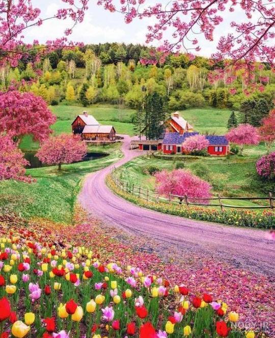 عکس برای پروفایل های زیبا