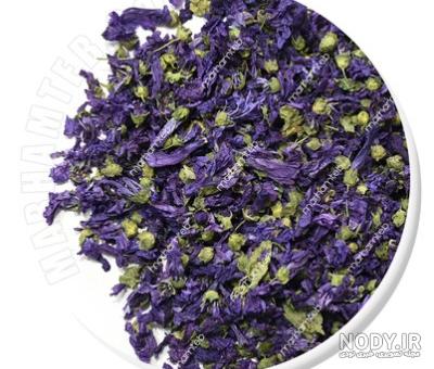 عکس گل پنیرک خشک شده