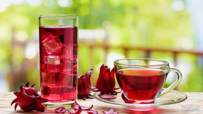مزرعه چای ترش گناباد/عکس
