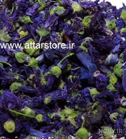 هفت خاصیت گیاه درمانی پنیرک/ چسب زخم طبیعی و جوان‌کننده | خبرگزاری ...