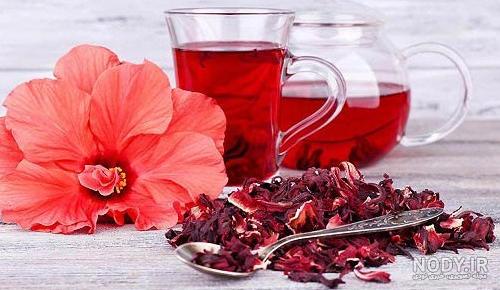 چای ترش, چای مکی, چای مکه, گل چای ترش, فروش گل چای ترش, نشاء چای ...