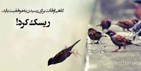 عکس نوشته راز های موفقیت عکس نوشته راز های موفقیت