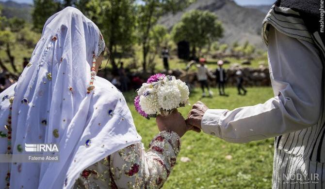 عکس گل چند برچه ای