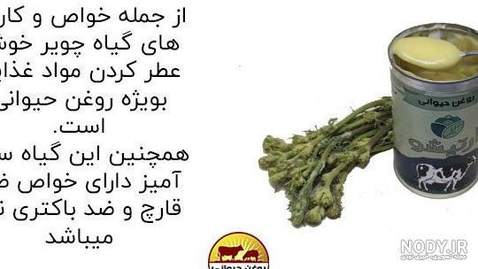 عکس گل چنور