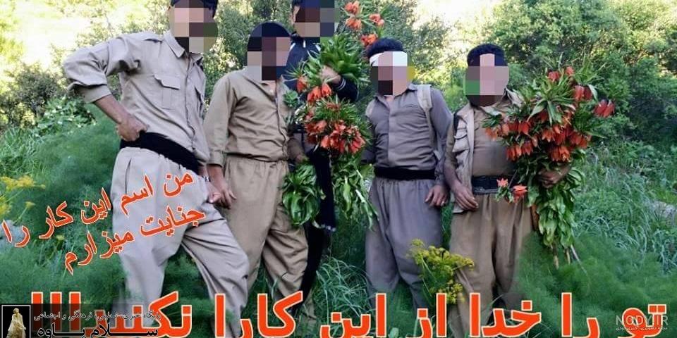 کوهپیمایی مسیر شاهو تا پالنگان