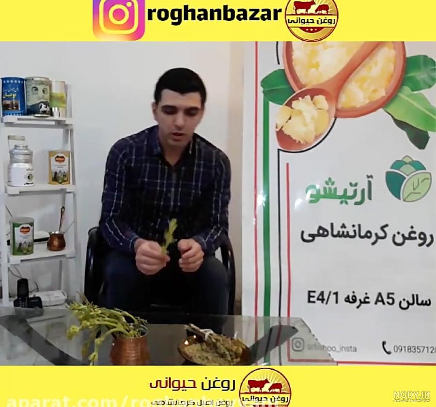 گیاه چویر یا چویل در روغن حیوانی کرمانشاهی(گیاه چنور نیز شناخته ...