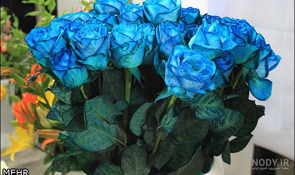 جدیدترین عکس گل زیبا و خاص برای صفحه مجازی خود و یا استوری - گلی خانوم