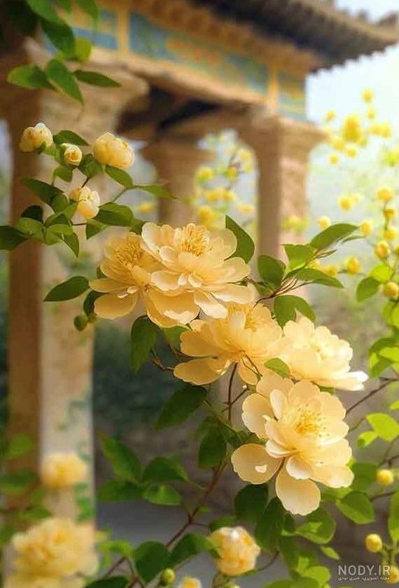 حروف چینی باید زیر هم نوشته بشه هم محض اطلاع - عکس ویسگون