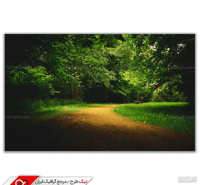 عکس سیاه عمودی - عکس نودی