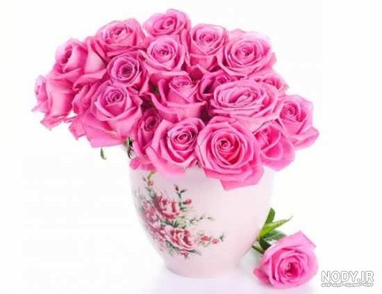 دانلود عکس گل رز غمگین - عکس نودی