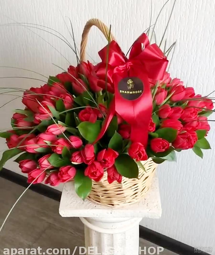 عکس گل برای روز پسر - عکس نودی