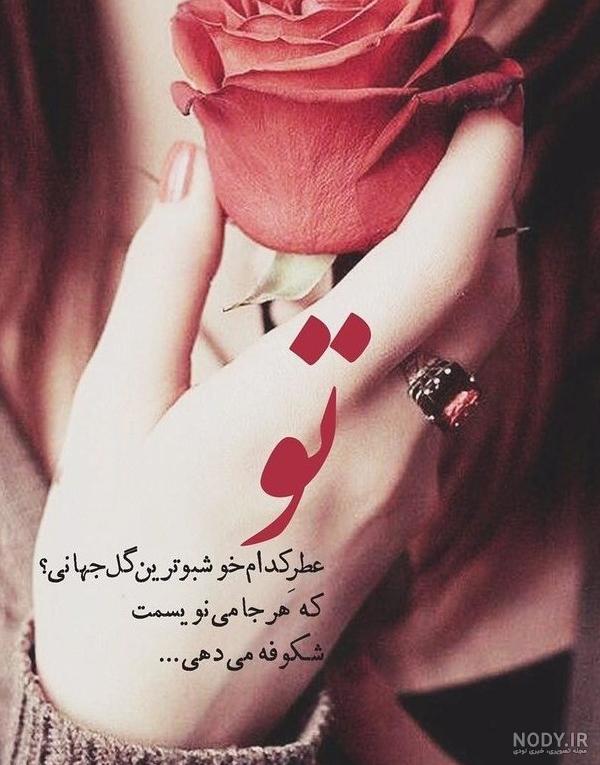 عکس پروفایل گل زیبا با متن