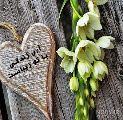 پروفایل عکس گل با متن زیبا پروفایل عکس گل با متن زیبا