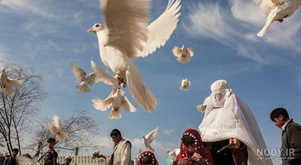 عکس فیک دختر افغانی