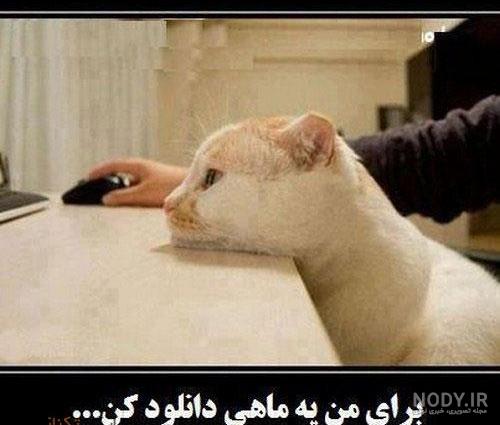 در و باز کن با صحبت حلش میکنیم