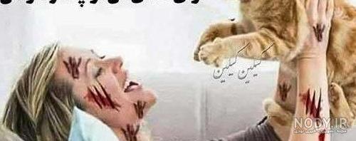 زیباترین و عجیب ترین حیوانات دنیا