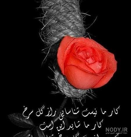 عکس گل غمگین با متن