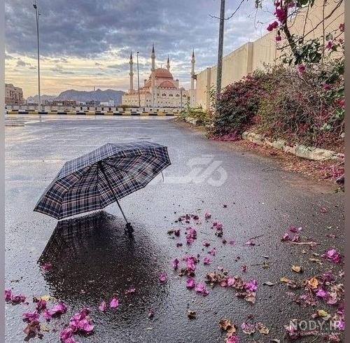 عکس پروفایل دخترونه جدید 1403