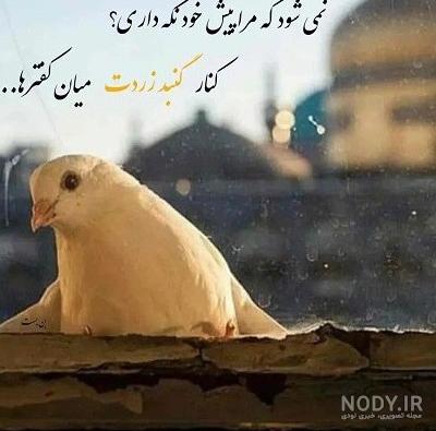 عکس پروفایل مذهبی دخترانه | جدیدترین عکس پروفایل مذهبی دخترونه ...
