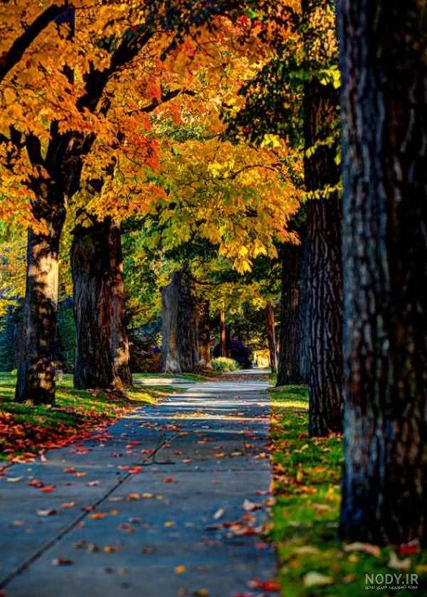 عکس پروفایل پاییزی جدید، خاص و دخترانه بدون متن برای اینستا