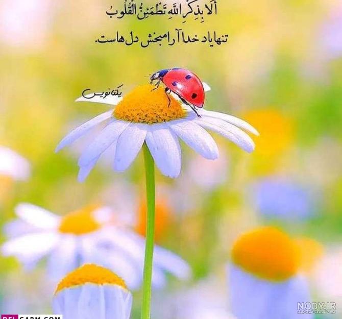 لوگوی فروشگاه لباس زنانه لوگو فروشگاه پوشاک مرجع تخصصی دانلود ... لوگوی فروشگاه لباس زنانه لوگو فروشگاه پوشاک مرجع تخصصی دانلود ...