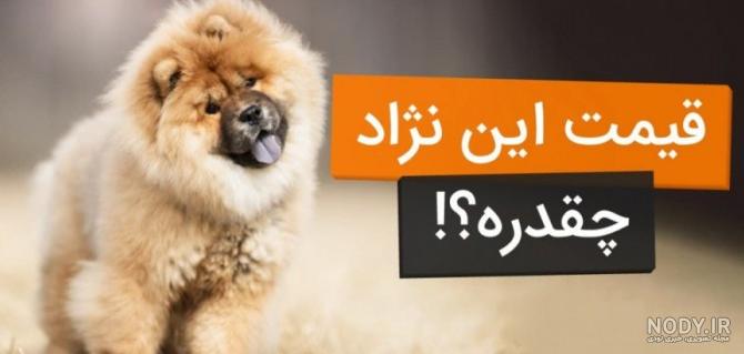 عکس سگ قهوه ای بزرگ
