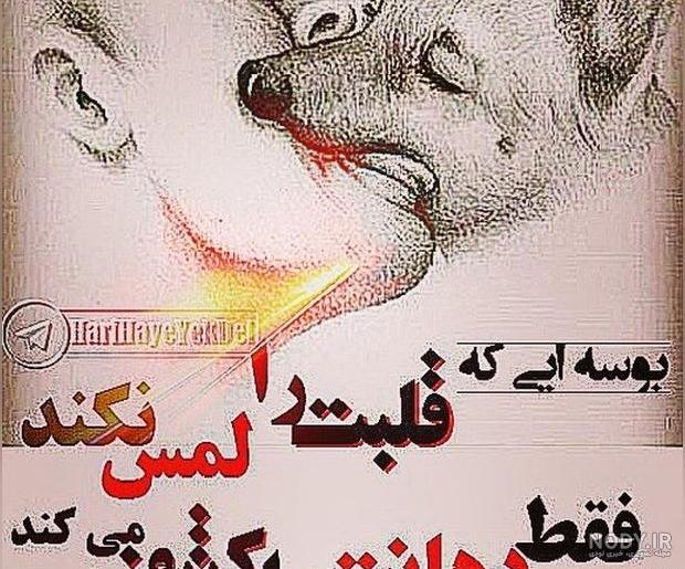 آلبوم عکس های خفن و زیبا از عقاب برای پروفایل - تــــــــوپ ... آلبوم عکس های خفن و زیبا از عقاب برای پروفایل - تــــــــوپ ...