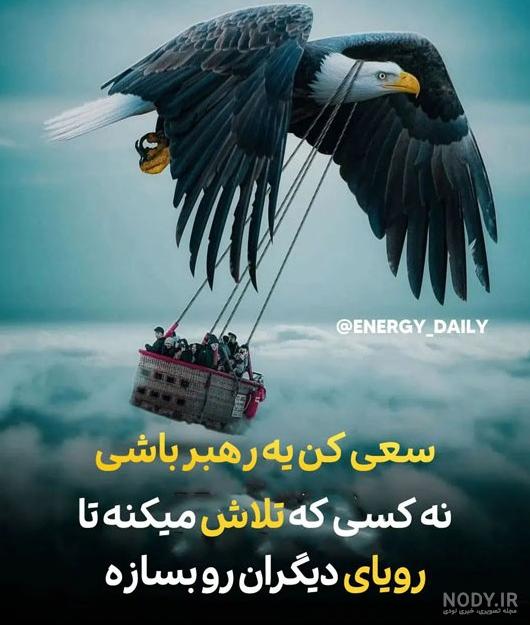 آلبوم عکس های خفن و زیبا از عقاب برای پروفایل - تــــــــوپ ... آلبوم عکس های خفن و زیبا از عقاب برای پروفایل - تــــــــوپ ...