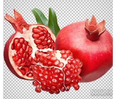 دانلود رایگان وکتور انار PNG دانلود رایگان وکتور انار PNG