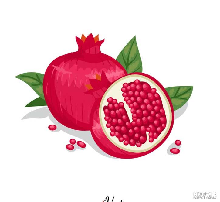 دانلود عکس انار کارتونی دانلود عکس انار کارتونی
