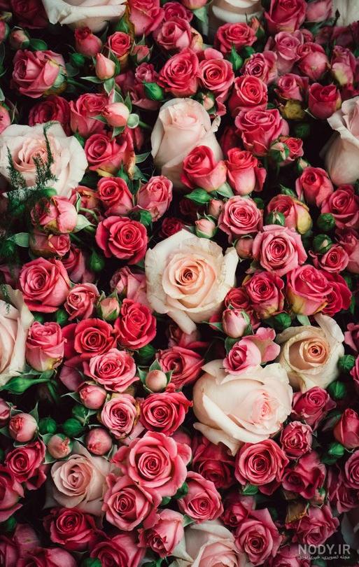 عکس برای زمینه گوشی زیبا