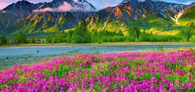 عکس خودرو بوگاتی