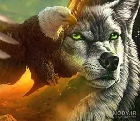 عکس عقاب با نوشته لاتی عکس عقاب با نوشته لاتی