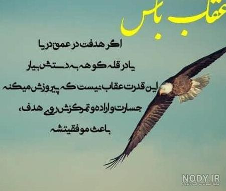 عکس عقاب با نوشته لاتی عکس عقاب با نوشته لاتی