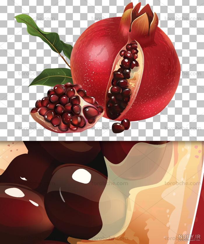 فایل png انار و دانه های انار (بدون پس زمینه) فایل png انار و دانه های انار (بدون پس زمینه)