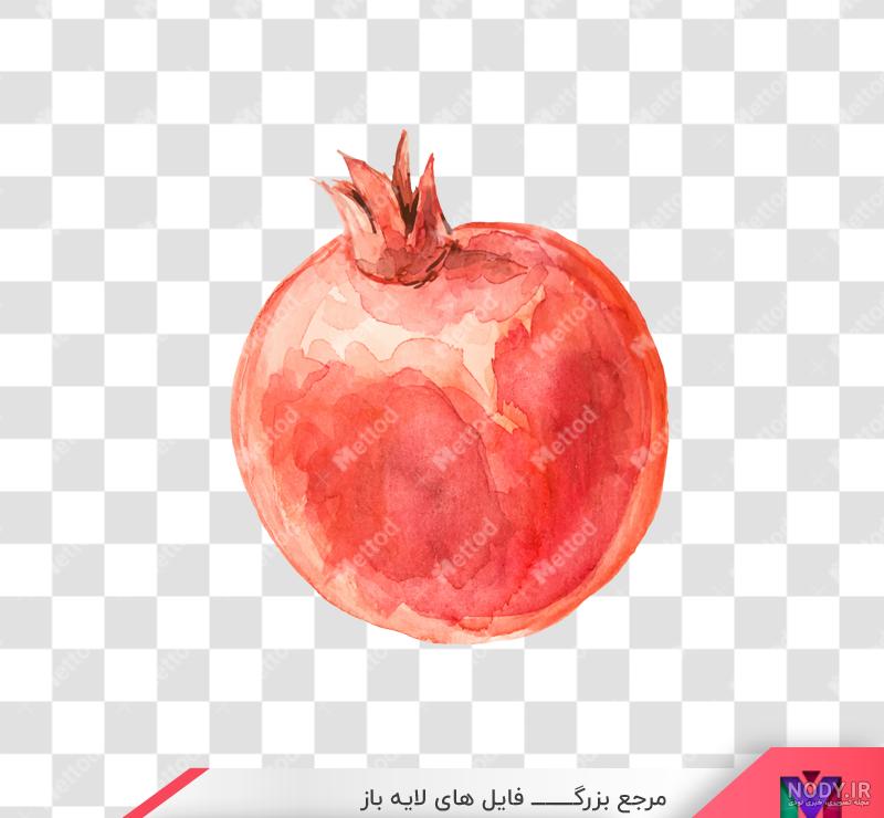 مسترطرح | عکس انار png مسترطرح | عکس انار png