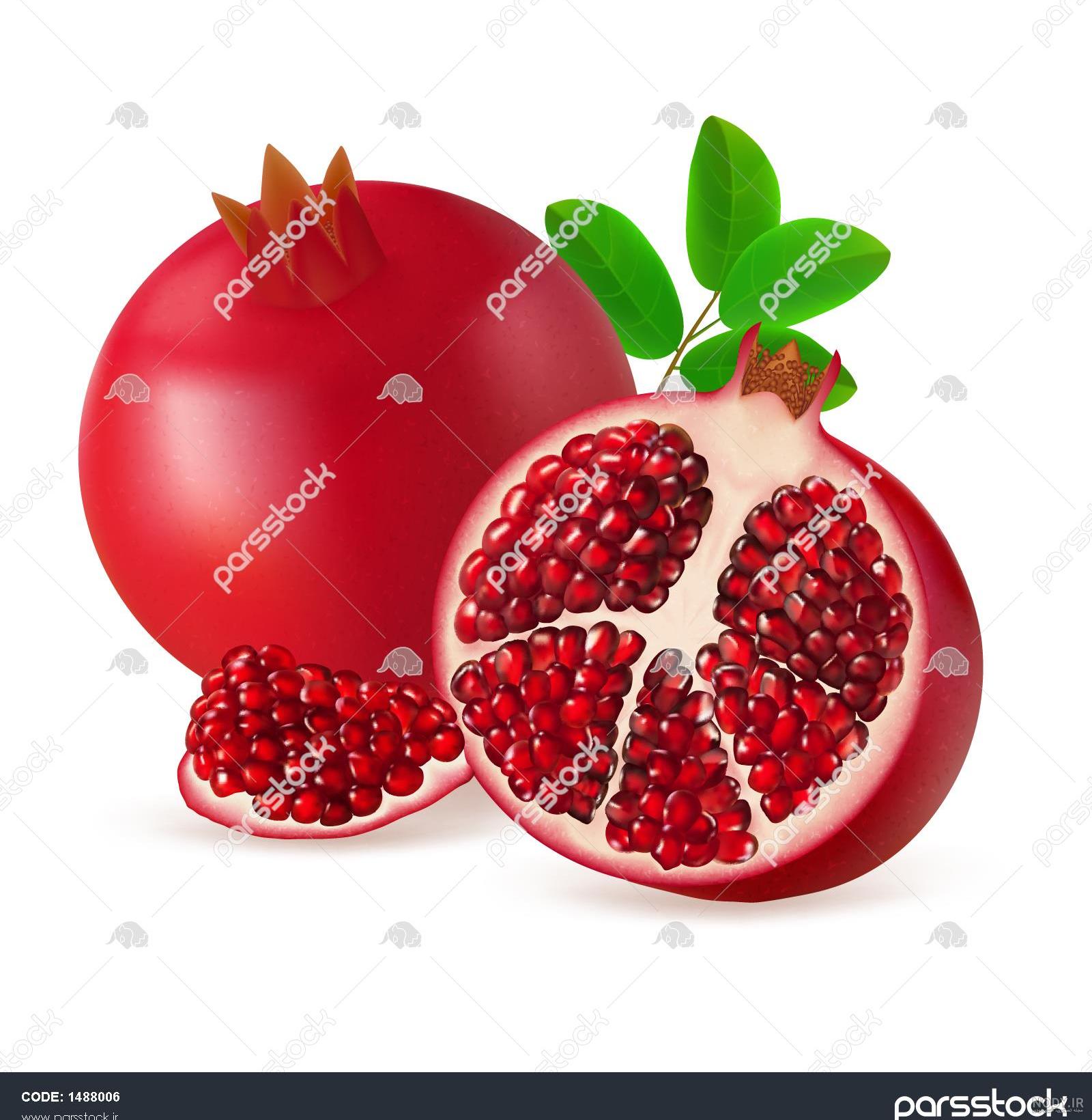 وکتور انار کارتونی قاچ خورده وکتور انار کارتونی قاچ خورده