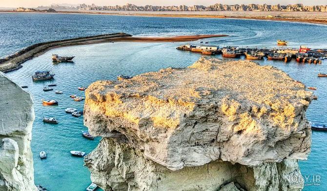 کلیپ خفن از سگ های سرابی بزرگ