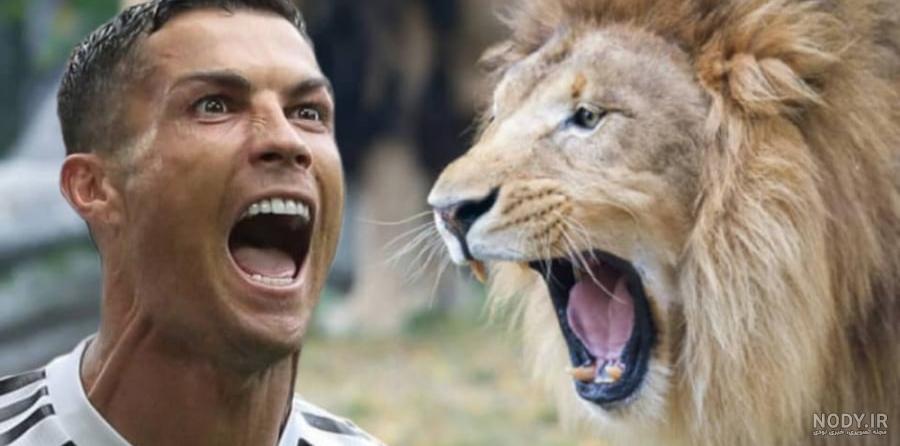 عکس رونالدو با شیر برای پروفایل
