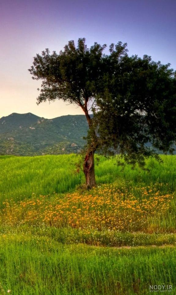 والپیپر تابستانی دخترانه موبایل | عکس پس زمینه تابستانی برای پروفایل