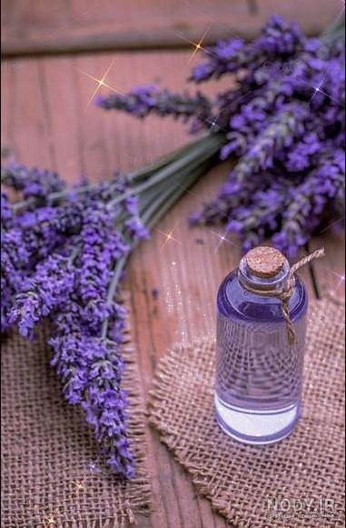 عکس پس زمینه گوشی یاسی
