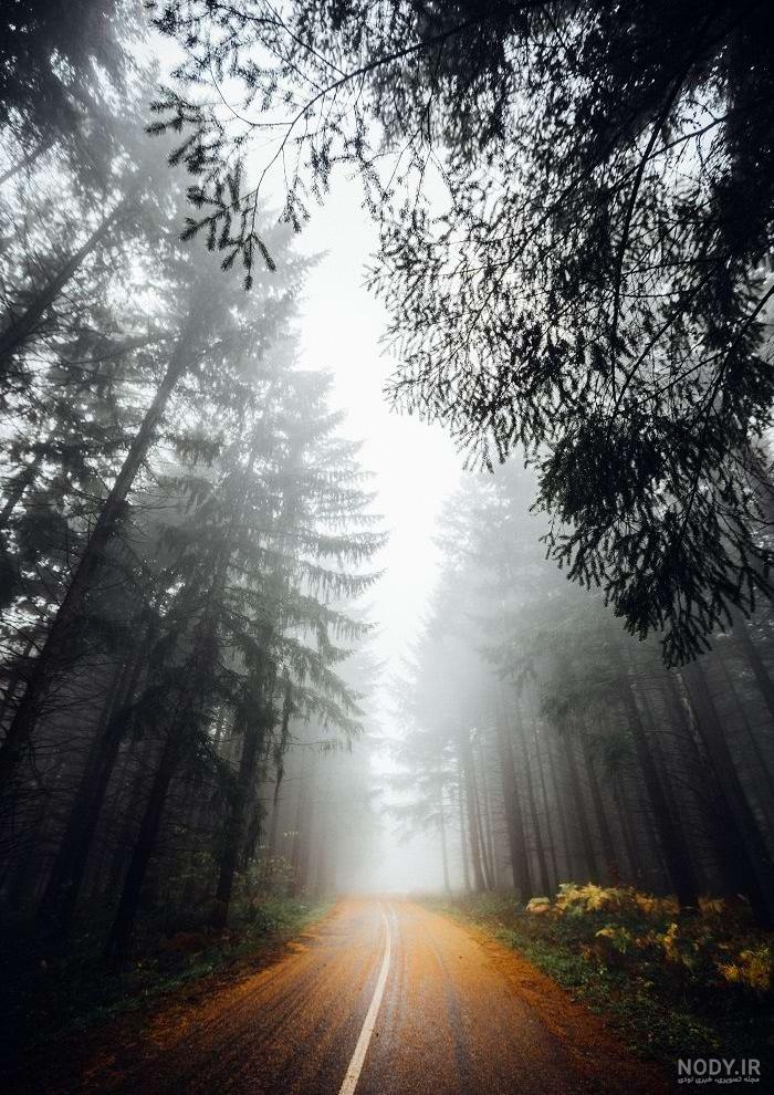 عکس پس زمینه گوشی تنهایی عکس پس زمینه گوشی تنهایی