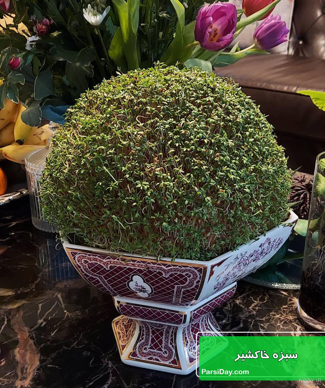 آموزش ساخت سبزه کوزه ای برای عید آموزش ساخت سبزه کوزه ای برای عید