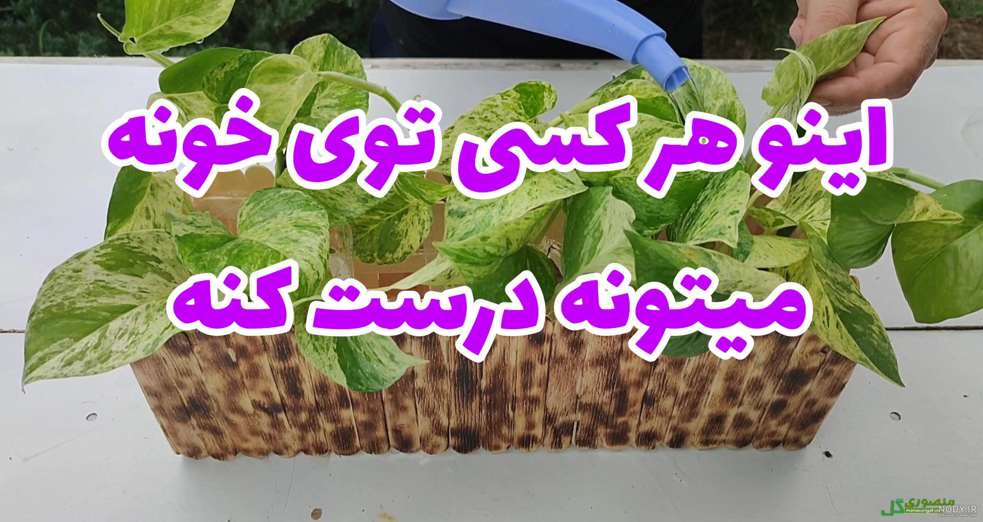 آموزش ساخت سبزه کوزه ای برای عید آموزش ساخت سبزه کوزه ای برای عید