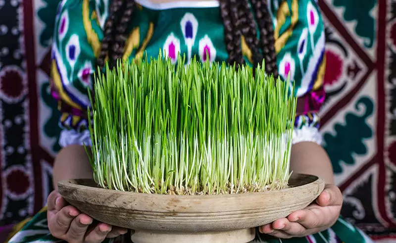 سبزه با تخمه آفتابگردان یک گزینه عالی برای هفت سین شما - پارس مگ