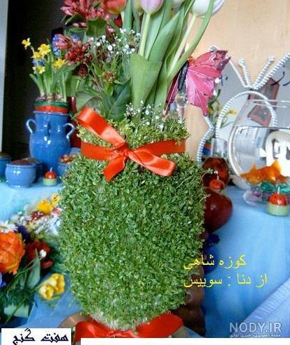 طرز تهیه سبزه شاهی روی کوزه و بشقاب مرحله به مرحله ویژه نوروز طرز تهیه سبزه شاهی روی کوزه و بشقاب مرحله به مرحله ویژه نوروز